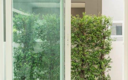 How to Find the Best Impact Window Solutions for Your Home