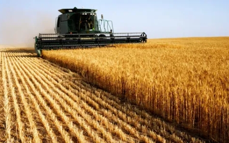 Understanding Agricultural Fuel Oil: Fueling the Backbone of Farming