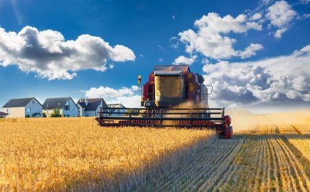 Red Diesel Delivery: Keeping UK Farms Running Smoothly