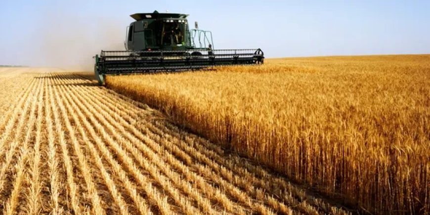 Understanding Agricultural Fuel Oil: Fueling the Backbone of Farming