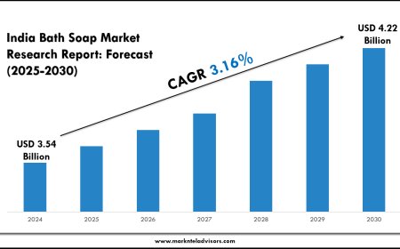 India Bath Soap Market Landscape: Growth Outlook 2025–2030