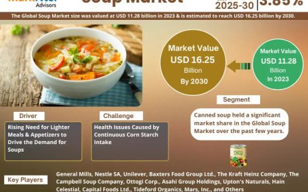 Soup Market Projected to Expand Rapidly with 3.85% CAGR by 2030