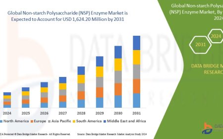 Non-starch Polysaccharide (NSP) Enzyme Market: Size, Share, and Future Growth