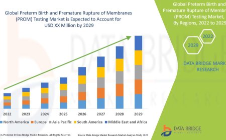 Preterm Birth and Premature Rupture of Membranes (PROM) Testing Market Growth and Future Trends