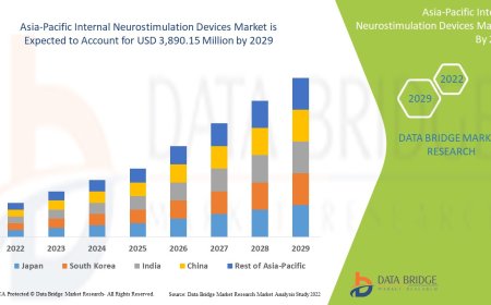 Asia-Pacific Internal Neurostimulation Devices Market: Trends and Growth Opportunities