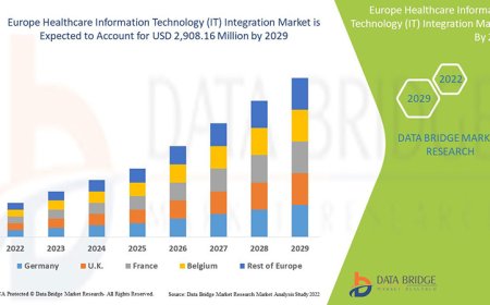 Europe Healthcare Information Technology (IT) Integration Market: Trends and Growth Opportunities