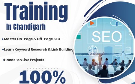 Become an Expert in Search Engine Optimization
