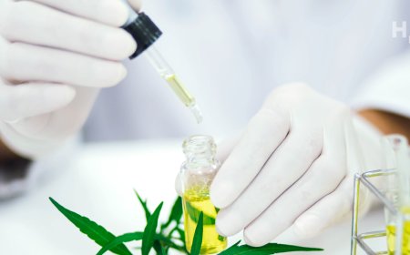 Where Can I Get Lab-Tested CBD Products Online?