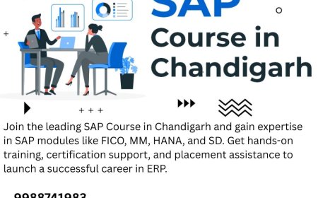 Unlock Global Career Opportunities with Expert ERP Skill Development