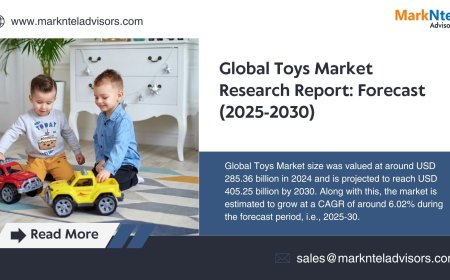 Toys Market Companies, Share and Outlook Report 2030