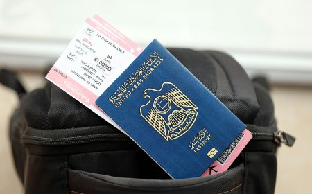 A Complete Guide to Visit Visa Renewal Procedures in the UA