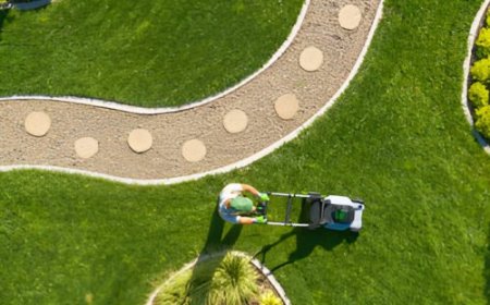 Landscaping Services in Cleveland: Your Guide to a Beautiful Outdoor Space