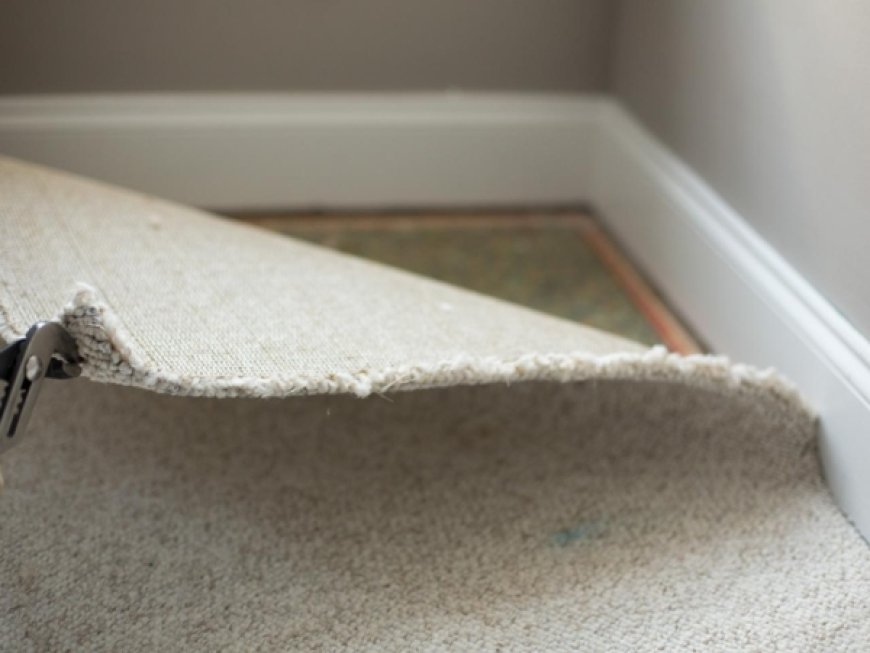 Carpet Removal Service Denver, CO