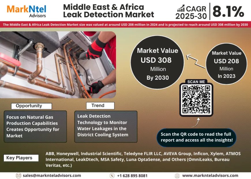 What’s Next for Middle East & Africa Leak Detection Market? Insights for 2025-2030