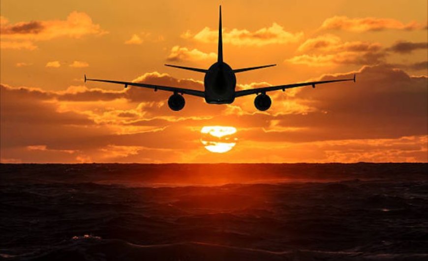 Frontier Airlines Office in Raleigh : Your Local Hub for Travel Support